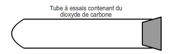 Tube à essais contenant du dioxyde de carbone