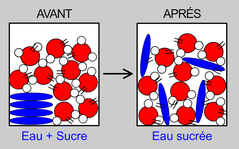 Modélisation de la dissolution du sucre dans l’eau