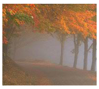 Illustration of fog