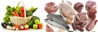 Foods containing water