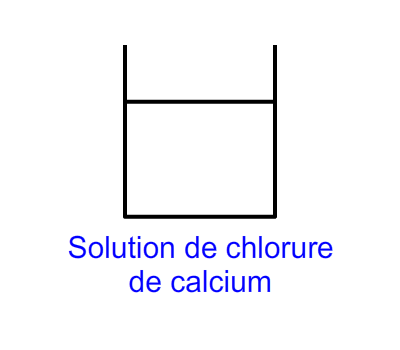 Step 3: observation of the products formed